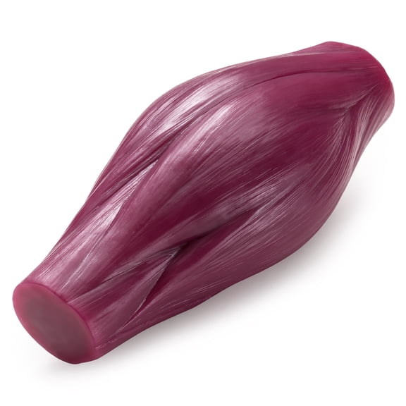 Human Body Muscle Replica Model 1 lb to Keep Fit Fitness