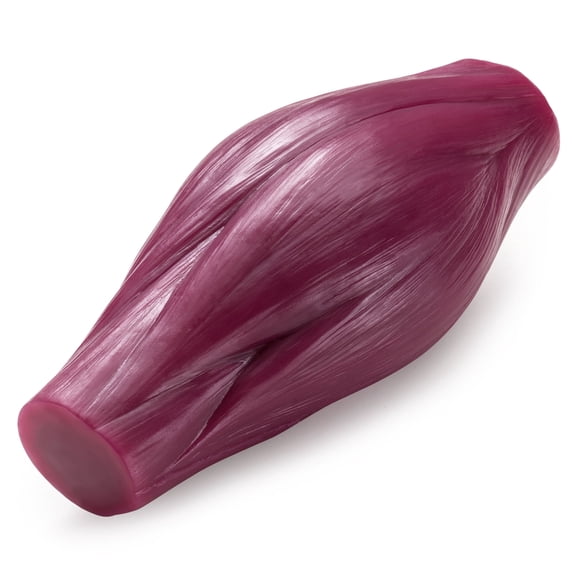 Human Body Muscle Replica Model 1 lb to Keep Fit Fitness