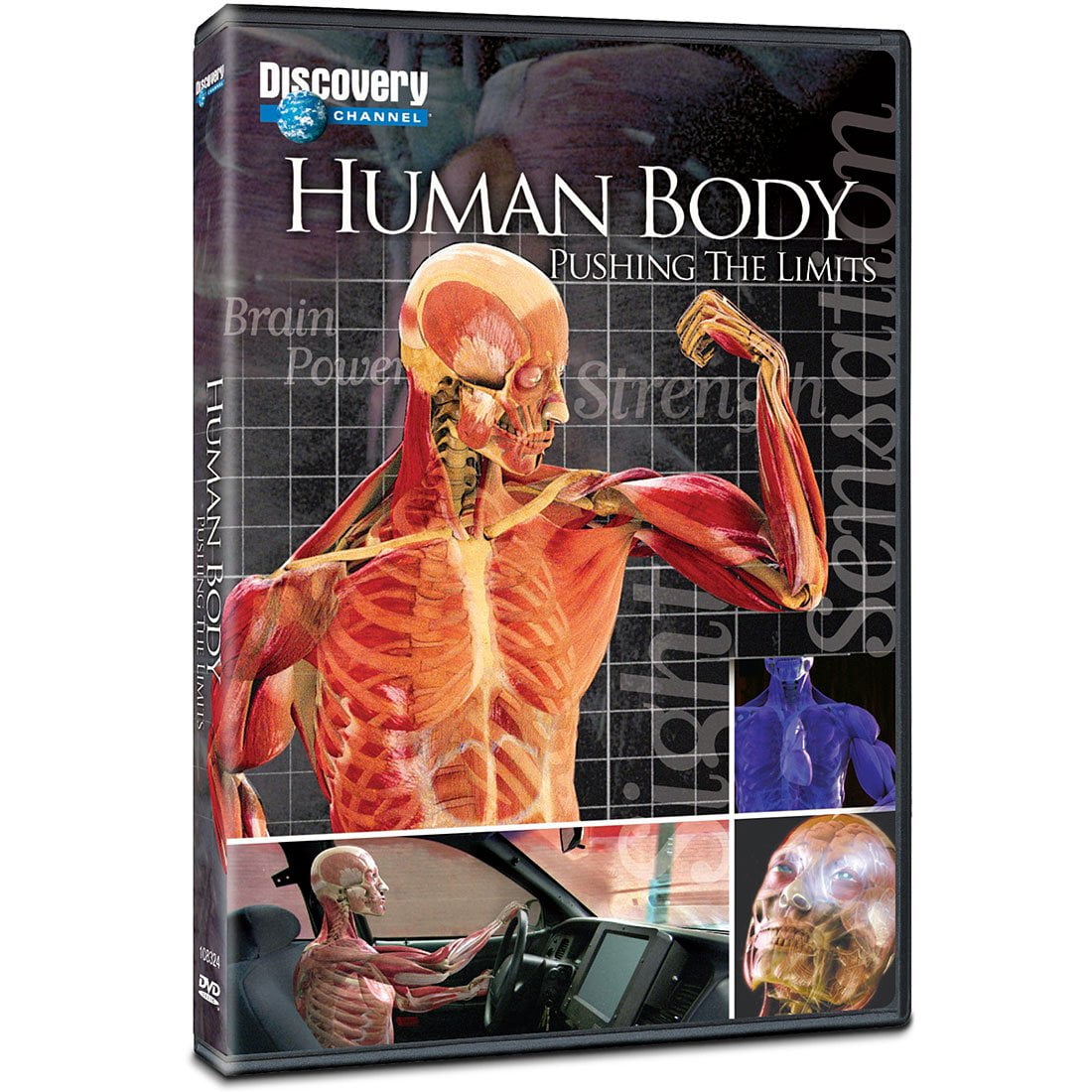 (未使用･未開封品)Nova Field Trips: Inside the Human Body - Cracking [DVD] 中古】Nova Field Trips: Inside the Human Body - Cracking [DVD]