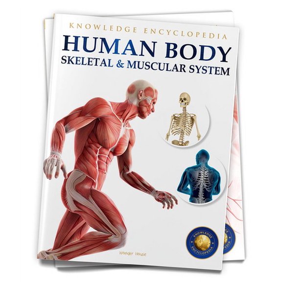 Pre-Owned Human Body: Skeletal and Muscular System (Paperback) 938993124X 9789389931242
