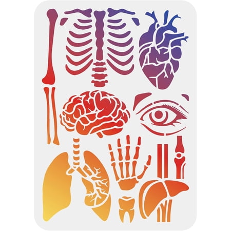 Human Body Stencil 8.3x11.7 inch Plastic PET Painting Stencil Heart Brain Lung Stencil Eye Rib Hand Template Rectangular Drawing Template for DIY Crafts Handwork Projects