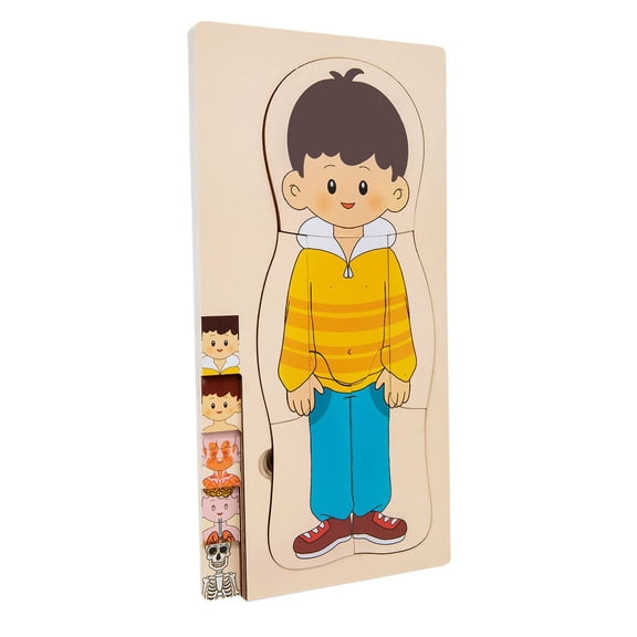 Human Body Structure Puzzle Board Body Organs Brain Cognition Science Popularization Wooden Early Education Toys