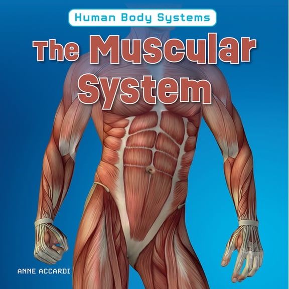 Human Body Systems The Muscular System, (Hardcover)
