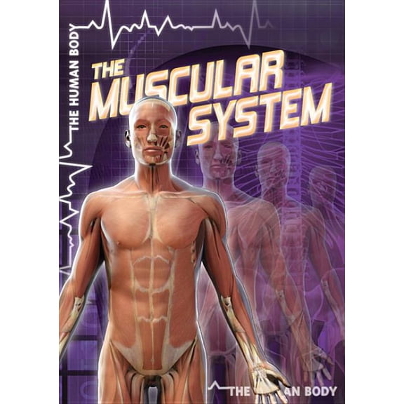 Human Body The Muscular System, (Paperback)