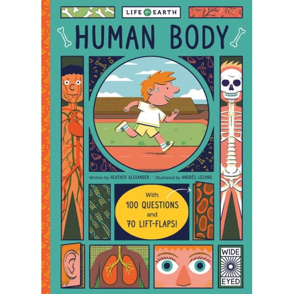 Pre-Owned Human Body With 100 Questions and 70 Fla (Board Book)