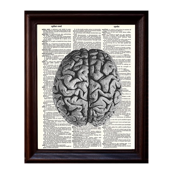 Human Brain - Dictionary Art Print Printed On Authentic Vintage Dictionary Book Page - 8 x 10.5