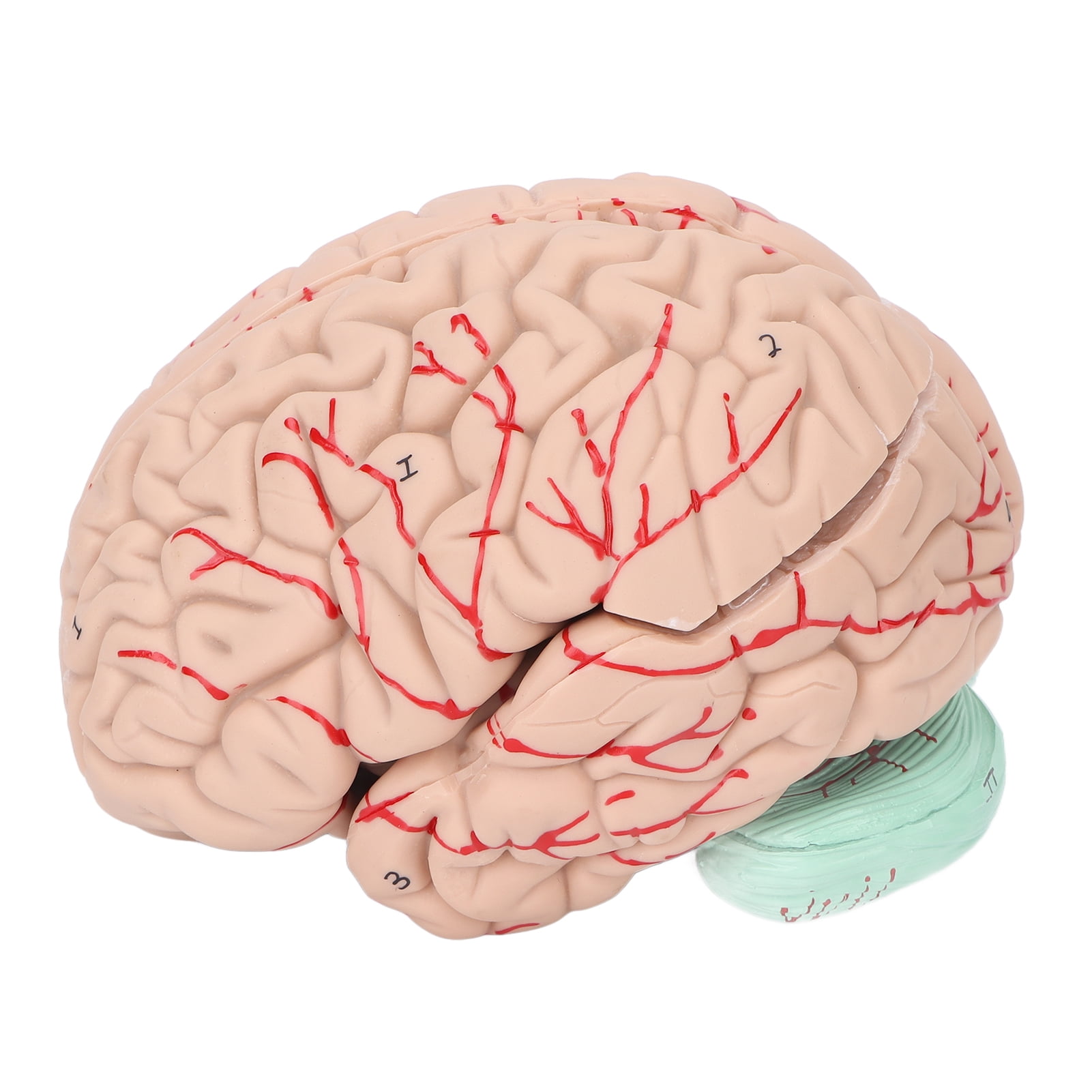 what to take for brain fog