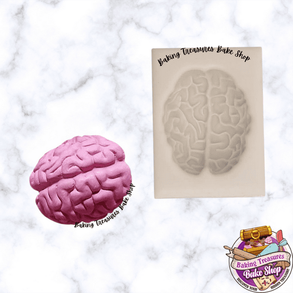 Human Brain Silicone Mold