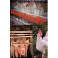 thumbnail image 1 of Human Brain Soup (Paperback), 1 of 1