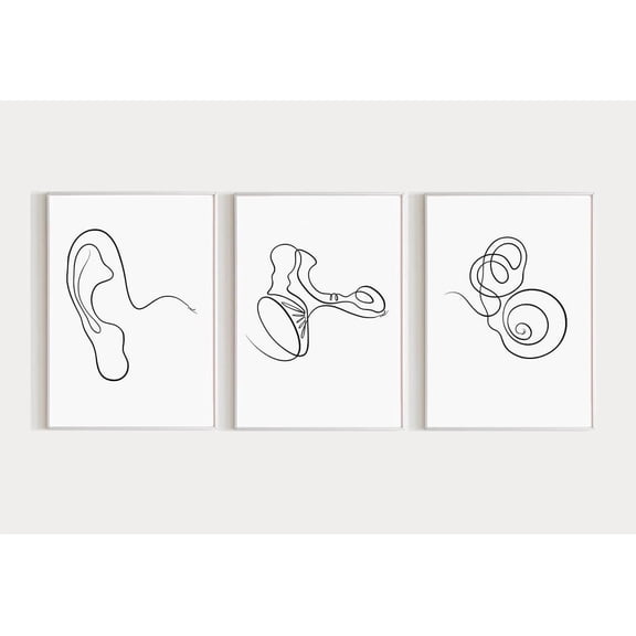 Human Ear Anatomy Print Modern Hearing Specialist Wall Decor Set 3 Unframed Paper Print 8x12