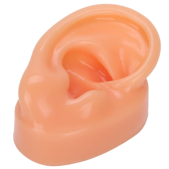 Human Ear Model, Watertight Soft Ear Model, Strong Toughness Silicone Soft For Demonstration Of Wearing