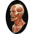 thumbnail image 1 of Human Error Resurrection Mask, 1 of 1