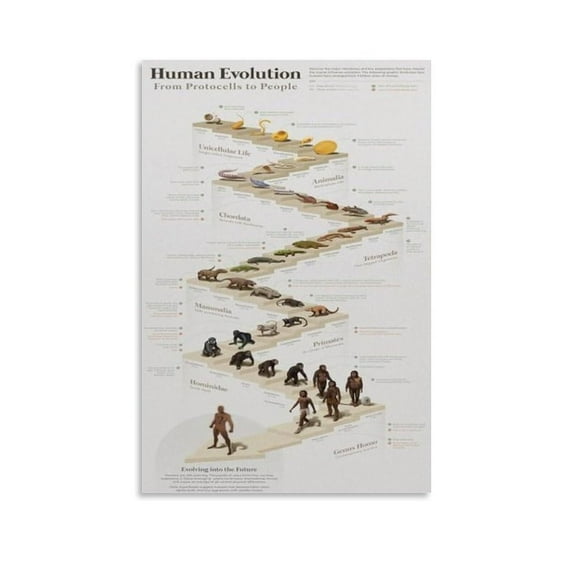 Human Evolution Chart Poster Darwin Evolution Canvas Print Aesthetic Decor Bedroom Bathroom Preppy Dorm Home Posters Garage Decor
