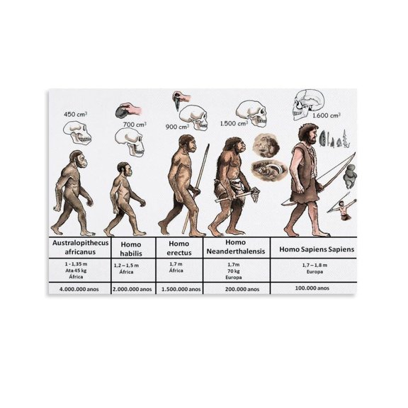 Human Evolution Education Classroom Knowledge Posters And Prints Wall Art for Living Room Bedroom Decor