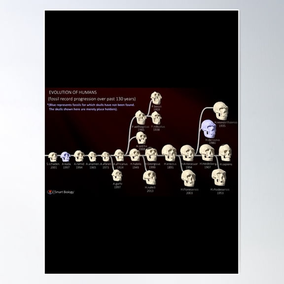 Human Evolution Poster Wall Art Modern Wall Decor For Living Room Bedroom