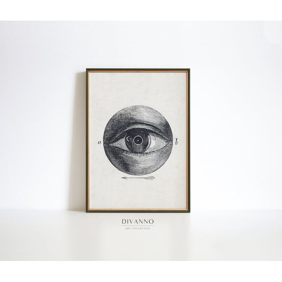 Human Eye Scientific Medical Exhibition Poster, Unframed Size 8x12