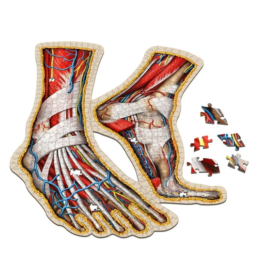 Human Feet Anatomy Jigsaw Puzzle | Dr. Livingston's Unique Shaped Science Puzzles