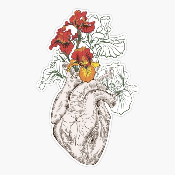 Human Heart With Flowers Anatomy Sticker
