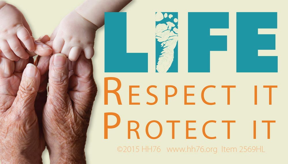 Human LIFE. Respect it. Protect it, Business Card Pro-Life Magnet (Pack of 50)