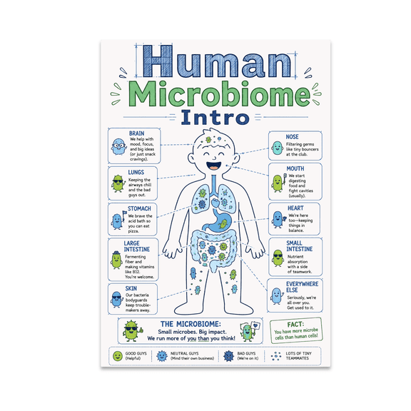 Human Microbiome Intro Blueprint Poster - Biology Teacher Decor - 13x19 Poster Print