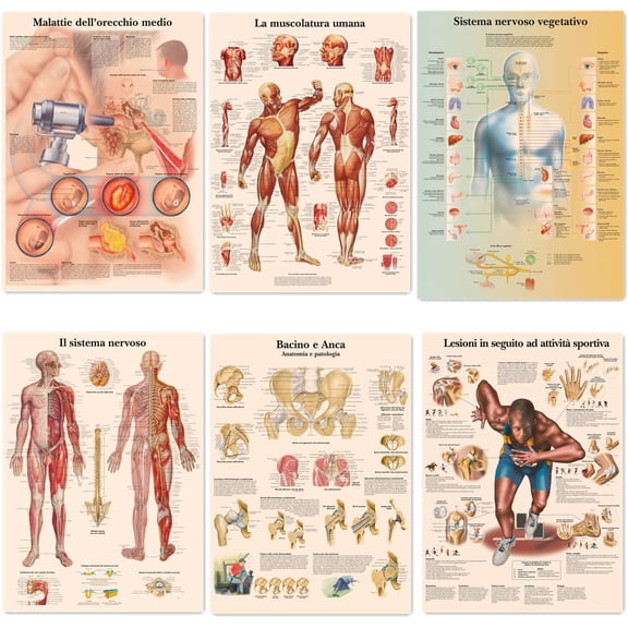 Human Musculature, Vegetative, Nervous, Diseases Ear, Pelvis Hip Italy Picture - 6 PCS Human Anatomy Wall Art Posters Vintage Kraft Paper Prints Painting Hospital Clinic Room Decor,11.8X16.5 inch