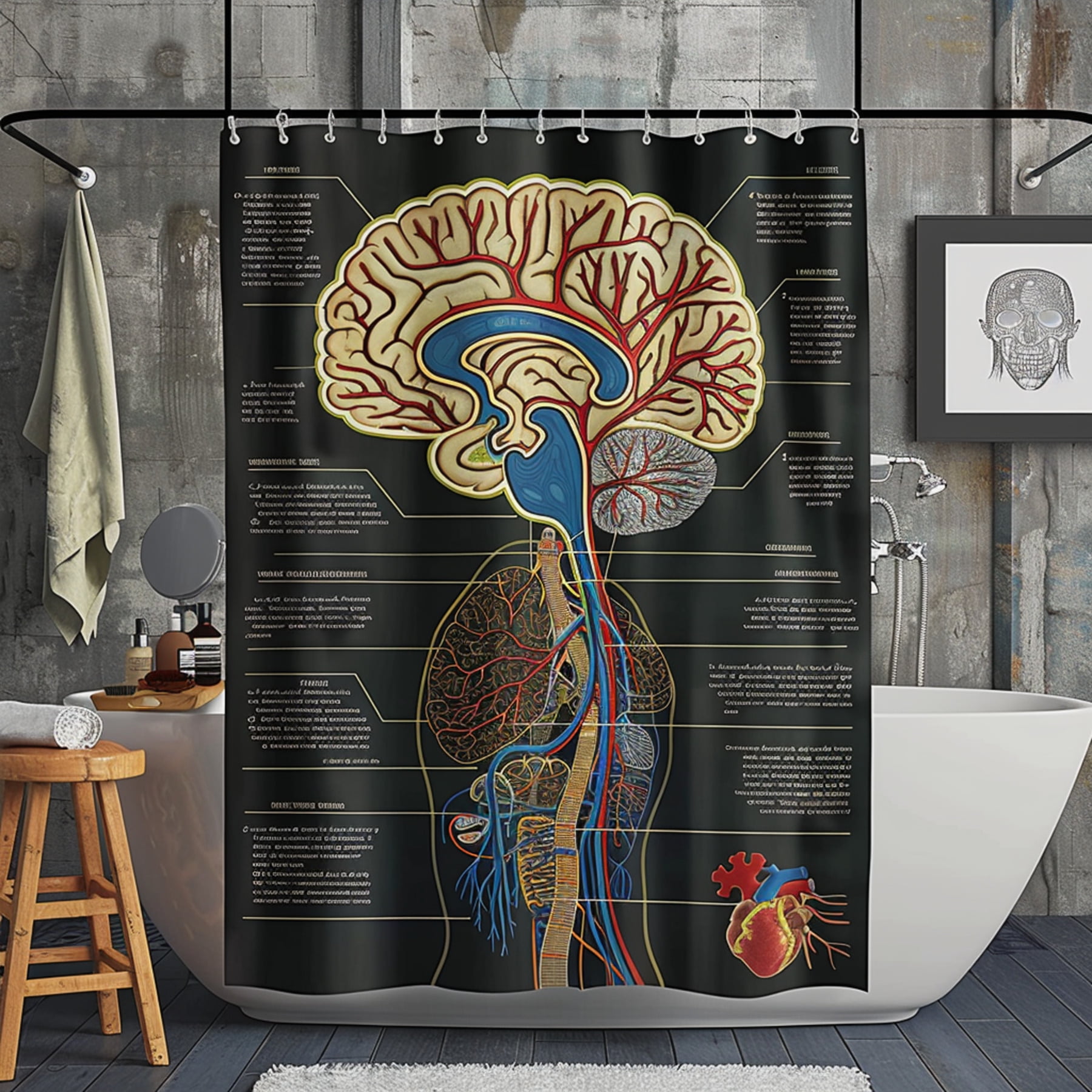 Human Nervous System Educational Shower Curtain Brain Veins Heart Muscles Scientific Diagram