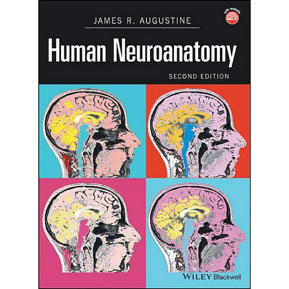 Human Neuroanatomy, (Hardcover)