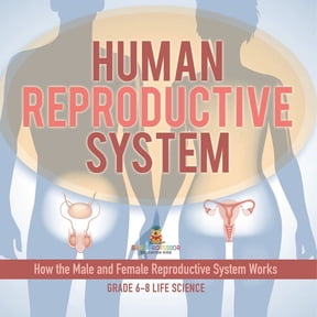 Human Reproductive System How the Male and Female Reproductive System Works Grade 6-8 Life Science, (Paperback)