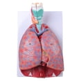 thumbnail image 1 of Human Cardiopulmonary Anatomy Model, Pulmonary Heart Model For Teaching, 1 of 10