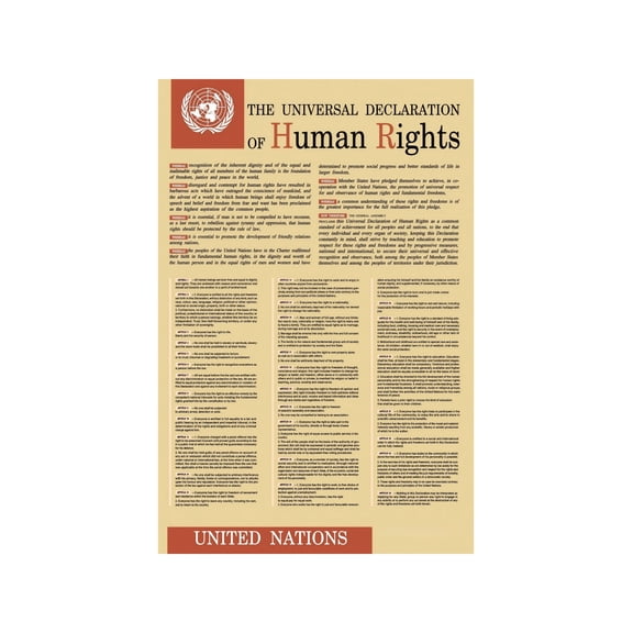Human Rights Bill Poster Universal Declaration Full Text Educational Wall Art For Classroom Office Social Justice Reference Decor