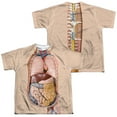 thumbnail image 1 of Human Science Torso (Front - Back Print) - Youth Short Sleeve Shirt - Large, 1 of 2