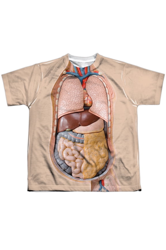 - Human Science Torso - Youth Short Sleeve Shirt - Large