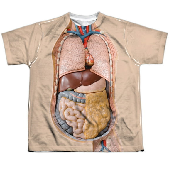 - Human Science Torso - Youth Short Sleeve Shirt - X-Large