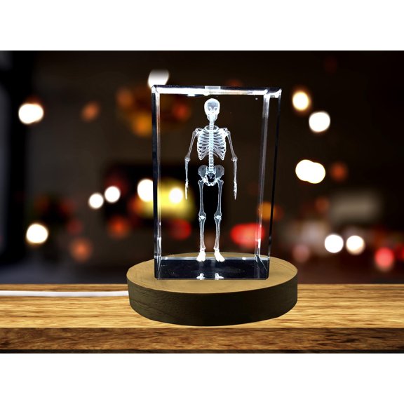 Human Skeleton 3D Engraved Crystal Novelty Decor - AB Crystal Collection