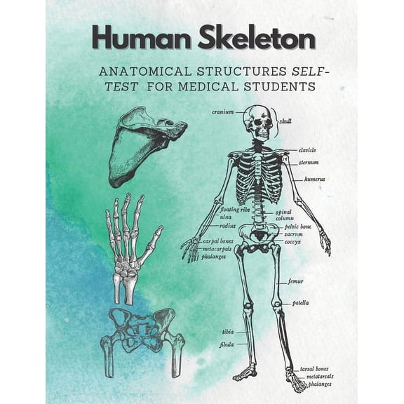 Human Skeleton, Anatomical structures self-test for medical students: kull, Ribs, Arm & Leg Bones, Pelvis, Spine (Paperback)