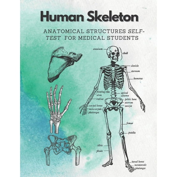 Human Skeleton, Anatomical structures self-test for medical students: kull, Ribs, Arm & Leg Bones, Pelvis, Spine (Paperback)