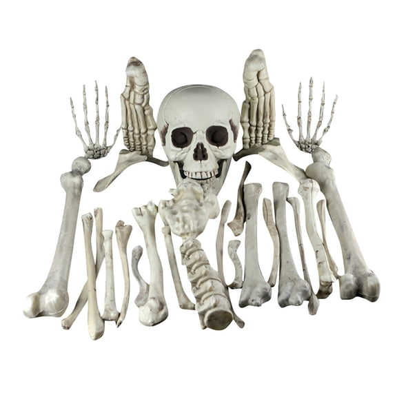 Human Skeleton Bones Ornament Set, 16 in, Halloween Graveyard Skull Props Desktop Table Decor for Haunted Home Office Party