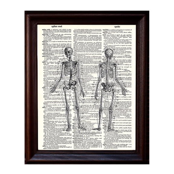 Human Skeleton - Dictionary Art Print Printed On Authentic Vintage Dictionary Book Page - 8 x 10.5