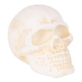 thumbnail image 1 of Human Skull Cast Iron Paperweight, 1 of 3