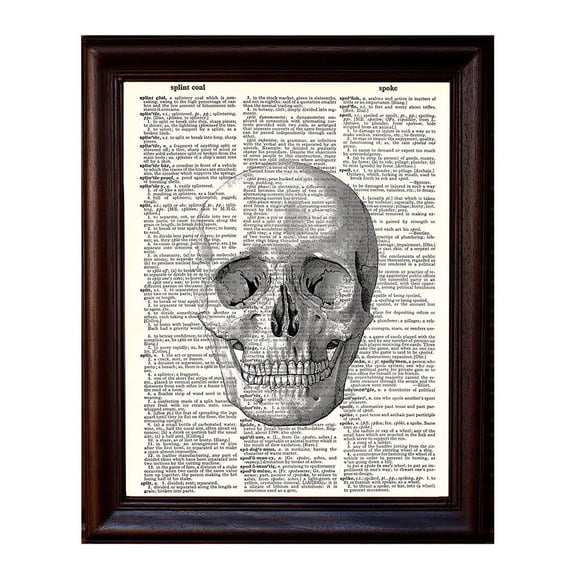 Human Skull - Dictionary Art Print Printed On Authentic Vintage Dictionary Book Page - 8 x 10.5