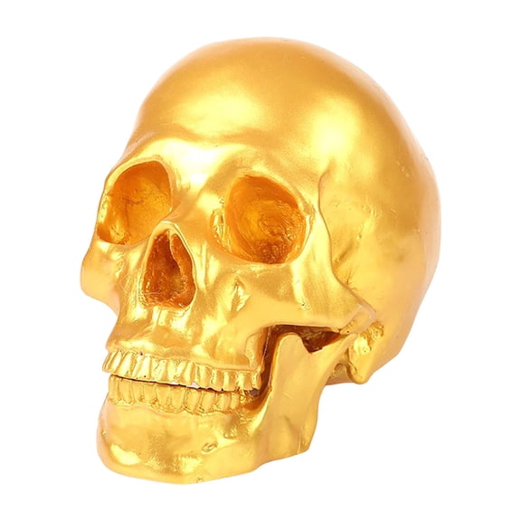 Human Skull Model, Realistic Adult Skull Head Bone Figurine, Resin Halloween Desktop Ornament for Gothic Home Decor, Teaching Anatomy Display, Macabre Shelf Accent for Living Spaces - C