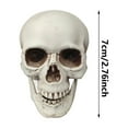 thumbnail image 1 of Human Skull Replica - Anatomically Accurate Skeleton Head Prop for Halloween Parties, Haunted Bars & Spooky Home Decorations, 1 of 7