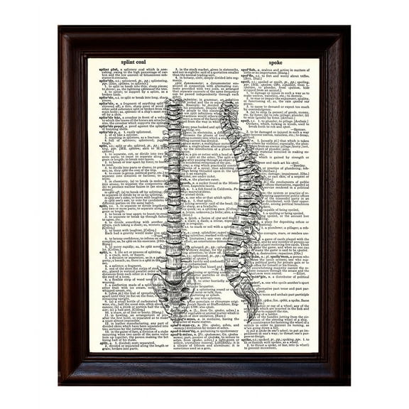 Human Spine - Dictionary Art Print Printed On Authentic Vintage Dictionary Book Page - 8 x 10.5