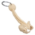 thumbnail image 1 of Human Spine Model Keychain Miniature Skeleton Keyring Handmade Gift for Doctors Students and Anatomical Collectors, 1 of 9