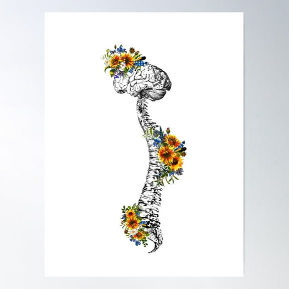 Human Spine With Brain Poster Wall Art, Modern Wall Decor For Living Room Bedroom, 8x12 UNFRAMED