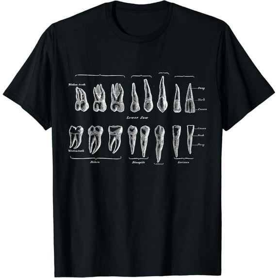Human Teeth Dental Vintage Anatomy Retro dentistry T-Shirt