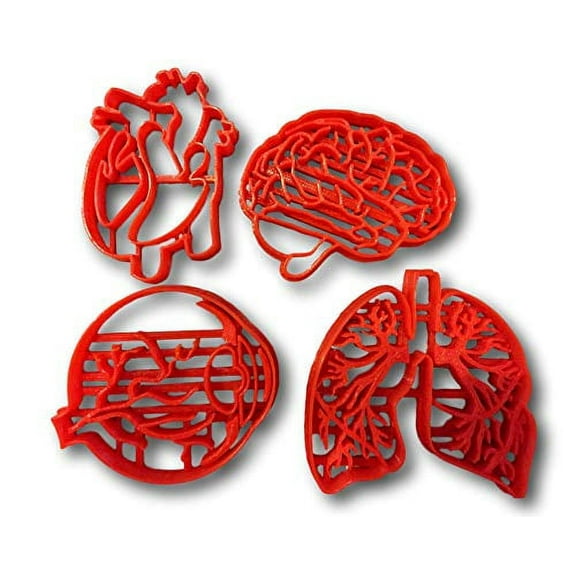 Human Tissue Anatomy Cookie Cutter (Set of 4)- Fast Shipping - Sharp Edges - Exceptional Quality