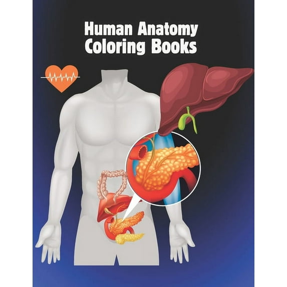 Human anatomy coloring books: The Ultimate Anatomy Study Guide Incredibly Detailed Self-Test Color workbook for Studying and Relaxation. (Paperback)