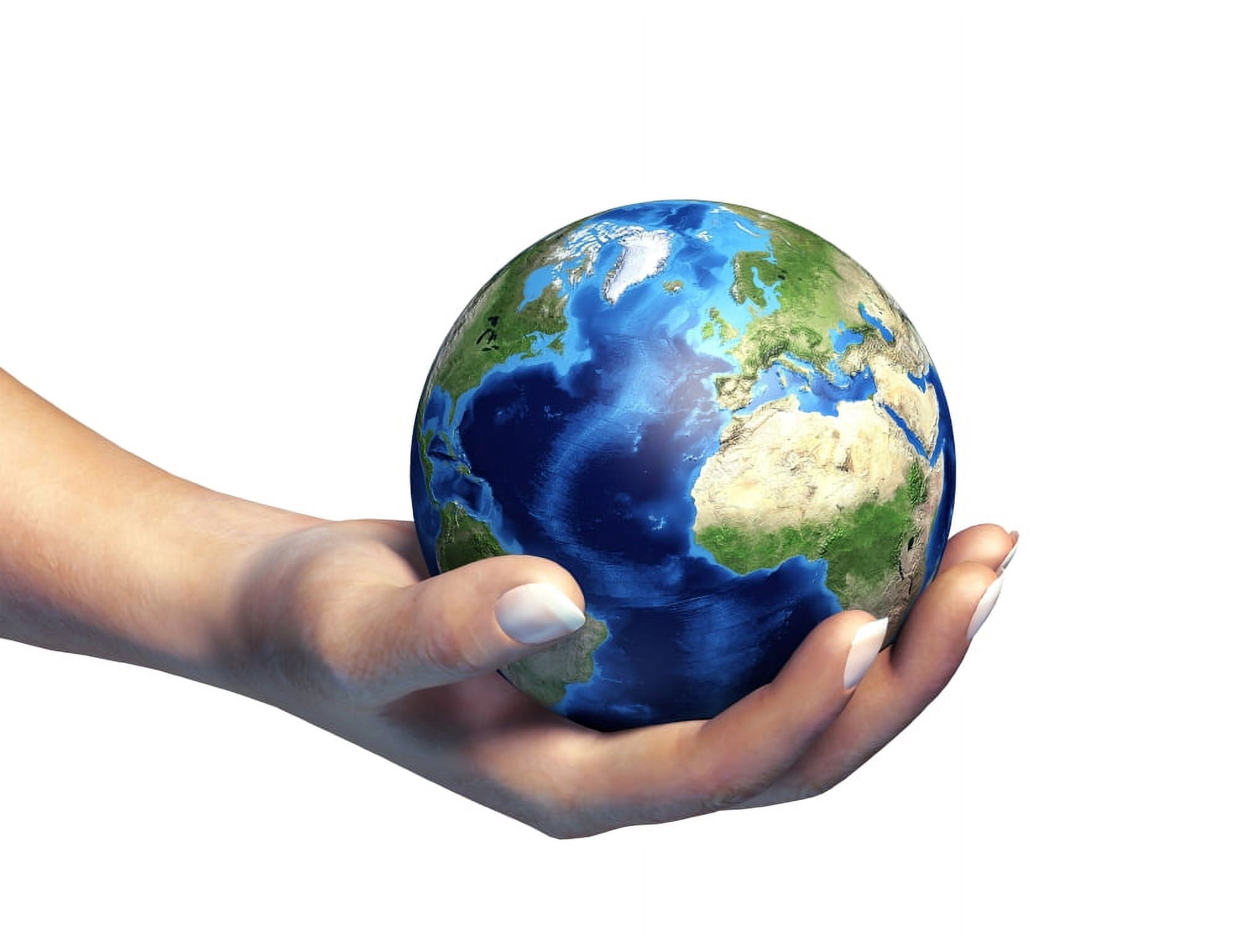 Human hand holding planet earth Canvas Art - Leonello CalvettiStocktrek Images (16 x 13)