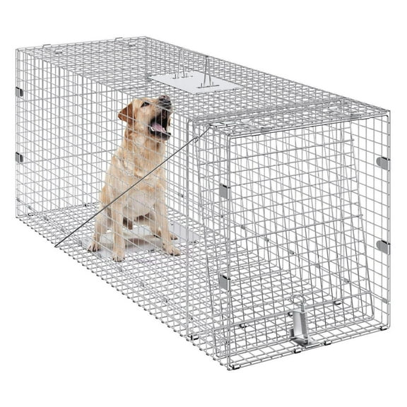 Humane Animal Trap 42 Inch - Galvanized Iron Live Cage for Cats, Dogs, Raccoons, Foxes, Armadillos - Folding Trap with Handle